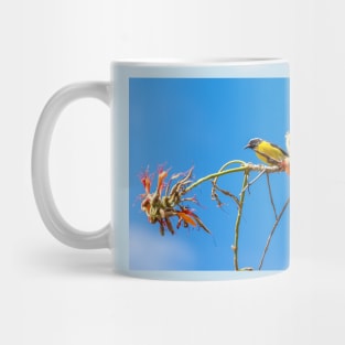 Bananaquit in Aruba Mug